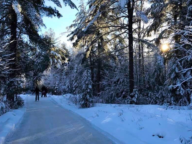 Patinage en forêt pour 2 personnes sur les sentiers glacés à l'Érable Rouge