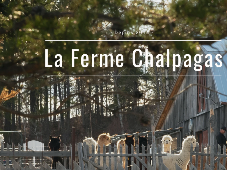 Photo – Ferme  Chalpagas – 1