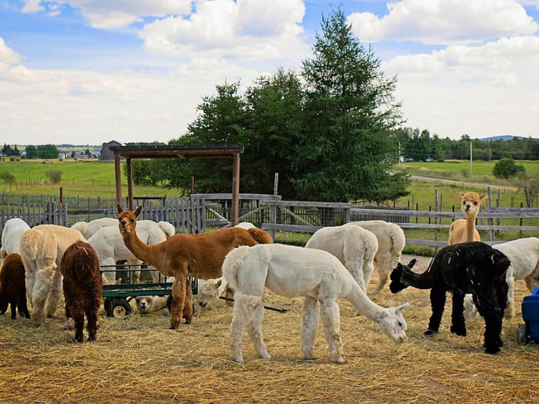 Photo – Ferme  Chalpagas – 1