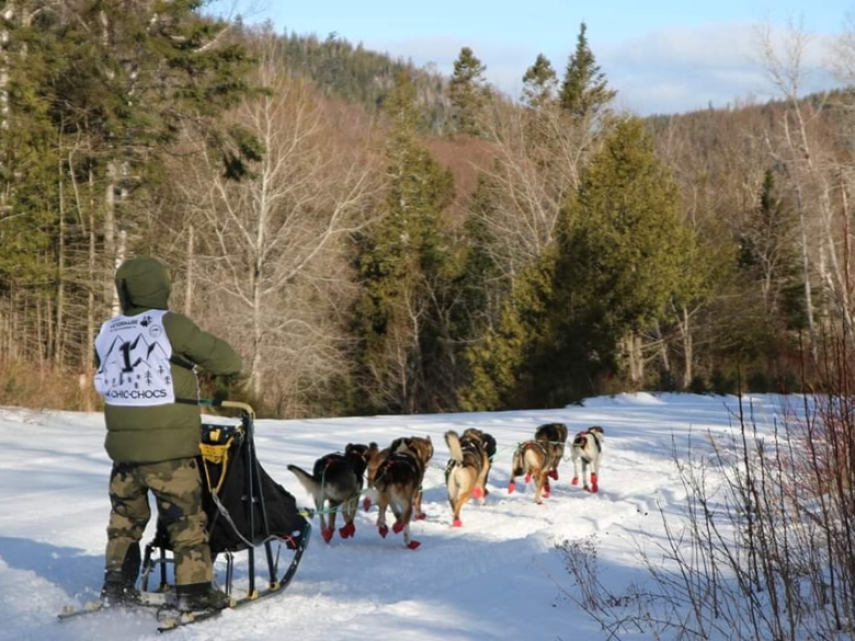 Forfait VIP en traîneau à chiens