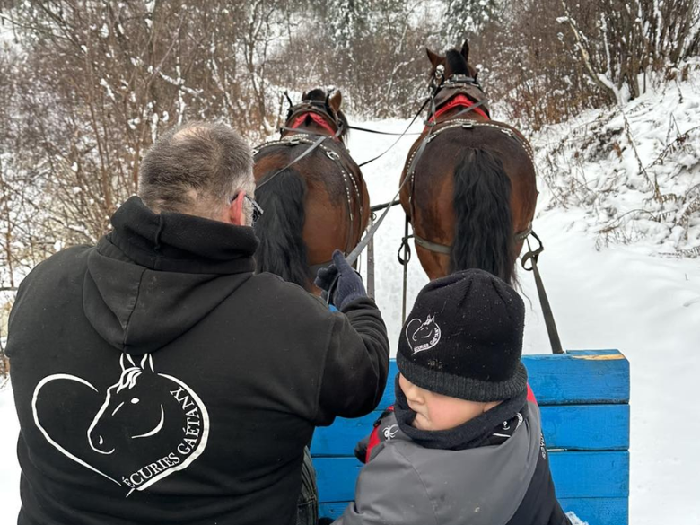 Photo – Écuries Gaétany – Sleigh – 1