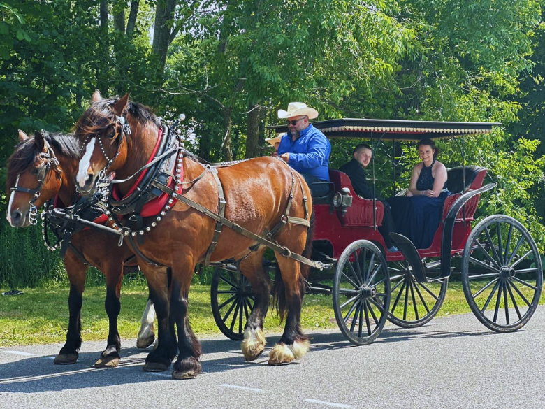 Photo – Écuries Gaétany – Sleigh – 1