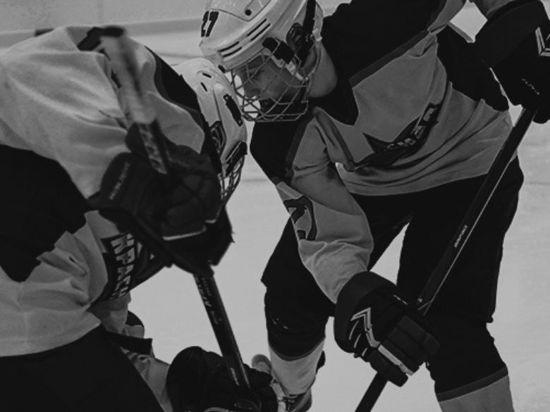 Photo – Hockey Bois-Francs – 2