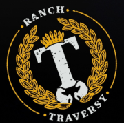 Gestion Yan Traversy