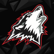 Huskies de Rouyn Noranda